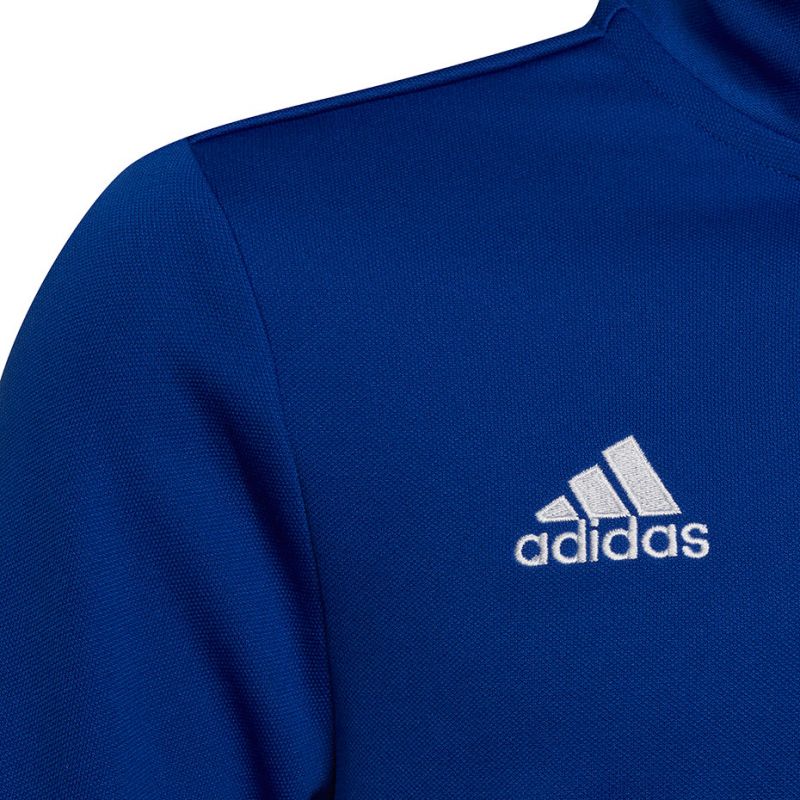 Adidas Entrada 22 Training Top Jr HG6290 sweatshirt