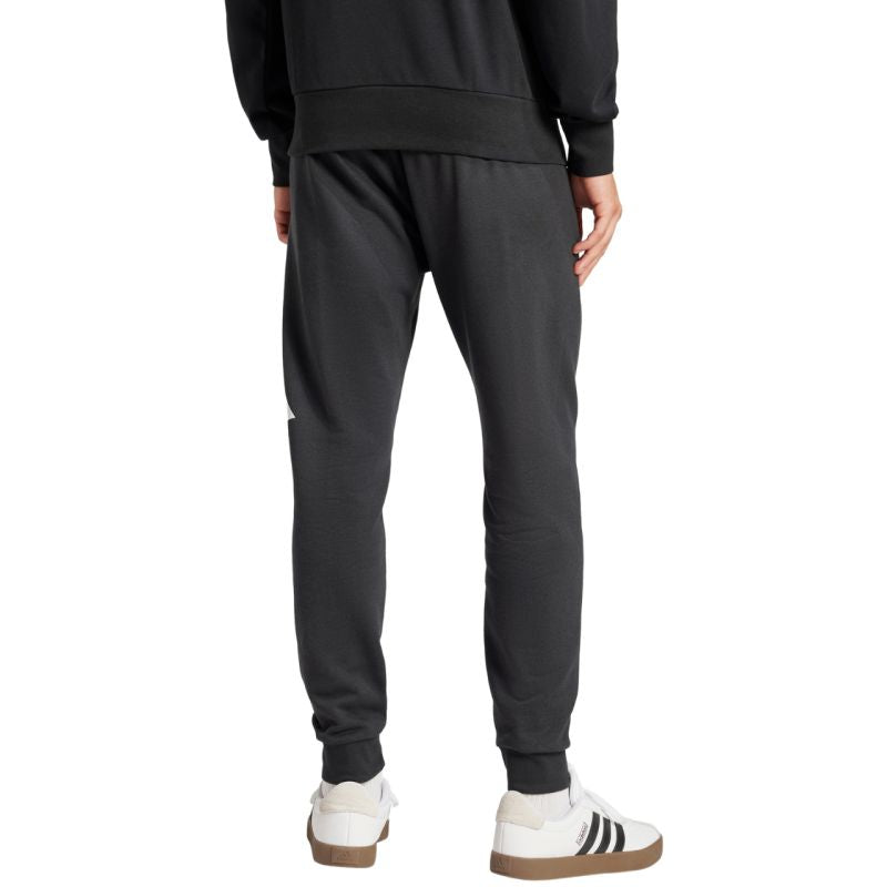 Adidas Essentials Big Logo French Terry M IN6163 pants