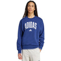 Felpa da uomo adidas Collegiate Blu JM1734