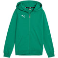 Puma teamGoal Felpa con Cappuccio Casual Bambini Verde 658596 05