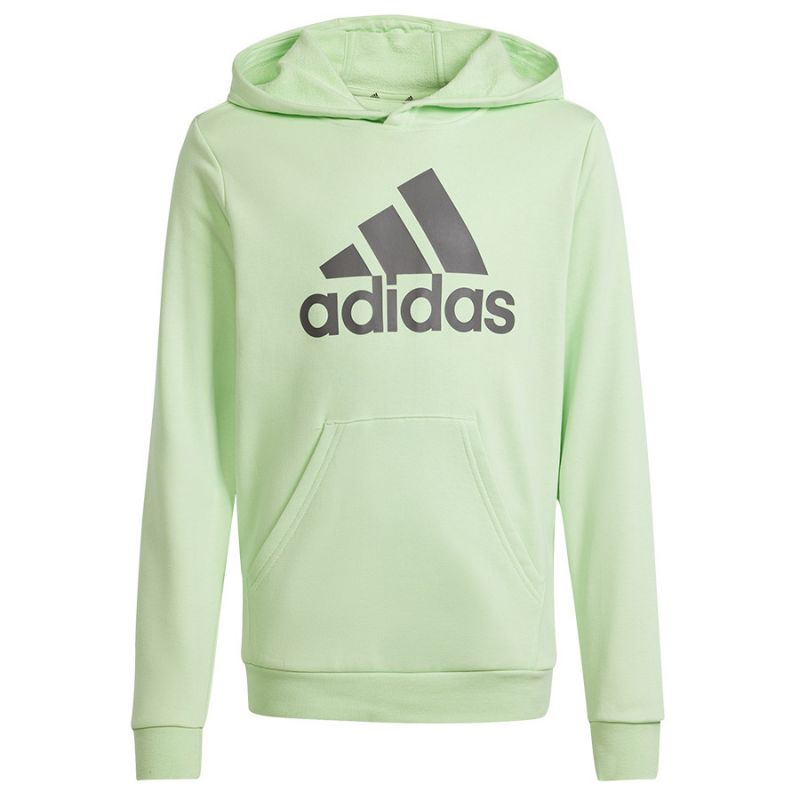 Adidas Big Logo Hoodie Jr IS2591 sweatshirt