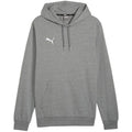 Puma Team Goal Casuals Hoody M 658618 33