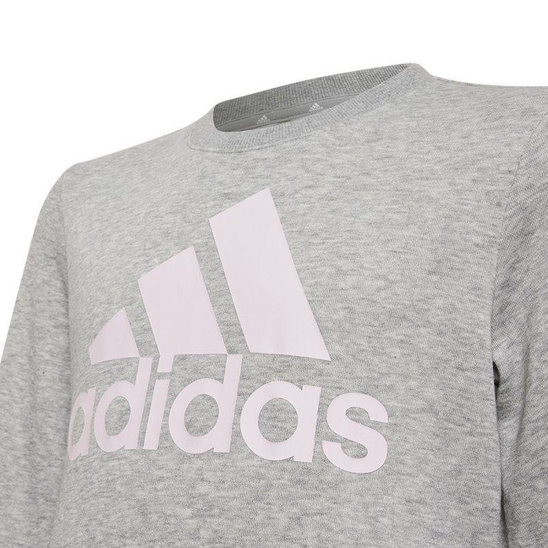 Adidas Big Logo Swt Jr HM8706 sweatshirt