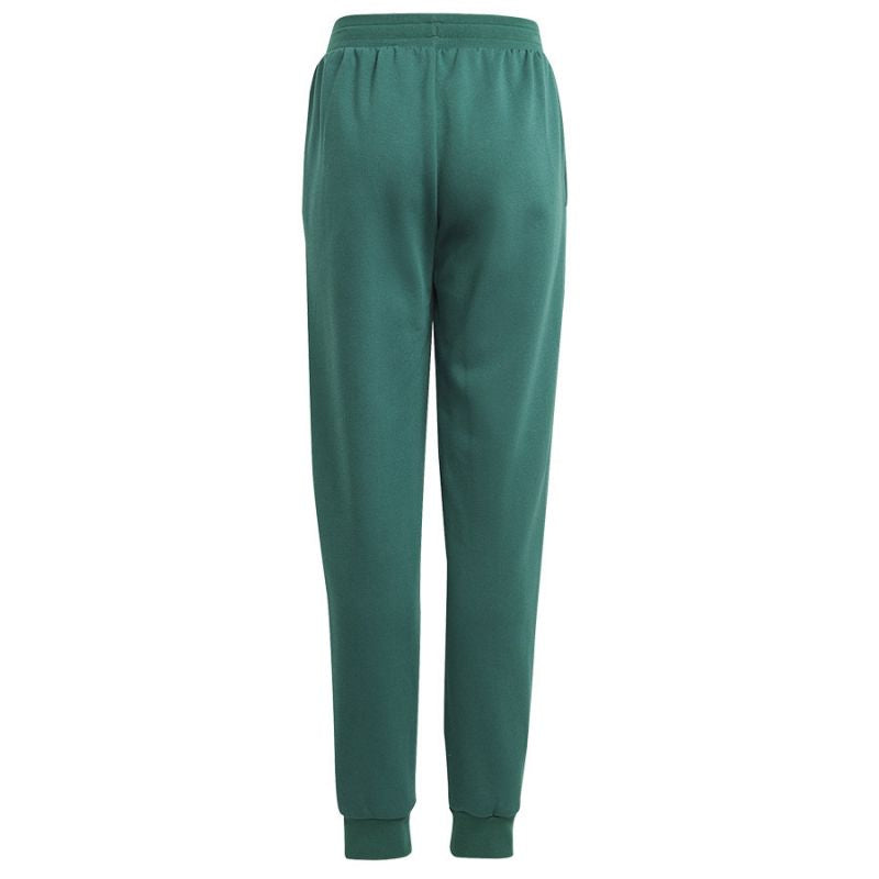 adidas BLUV Q3 Pant Jr IA1553
