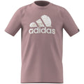 adidas Bos Nature Jr T-shirt HR8146