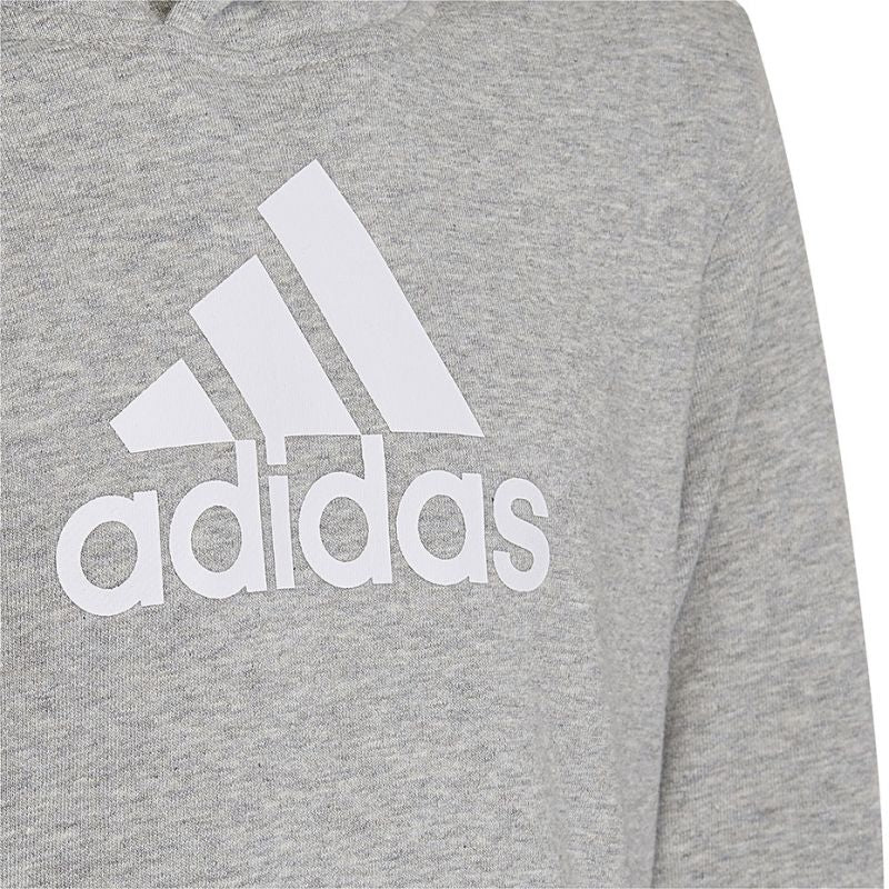 Adidas Colourblock Hoodie Jr HN8563 sweatshirt