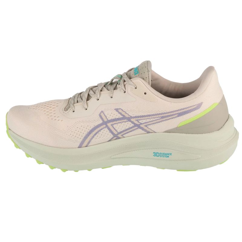 Asics GT-1000 13 TR M 1011C043-300 shoes