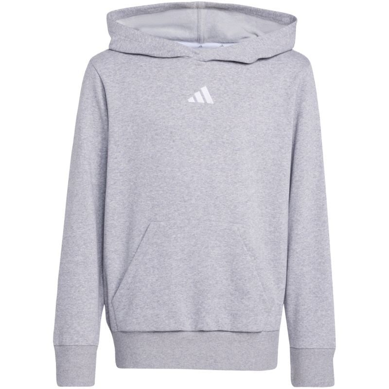 adidas Essentials Hoodie for kids gray JV9995