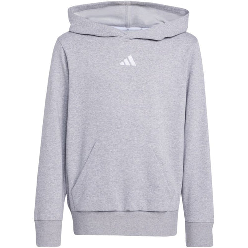 Felpa con cappuccio adidas Essentials da ragazzo grigia JV9995