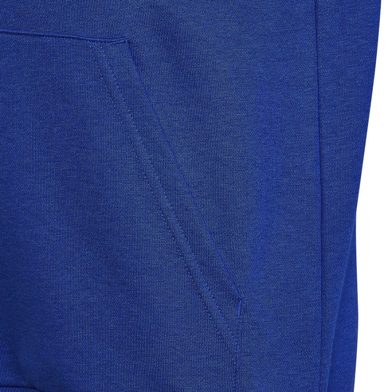 Adidas Big Logo Essentials Hoody Jr HN1912 sweatshirt