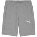 Puma teamGOAL Casuals pantaloncini da uomo grigi 658608 33