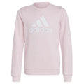 Felpa Adidas Big Logo Swt Jr IC6119