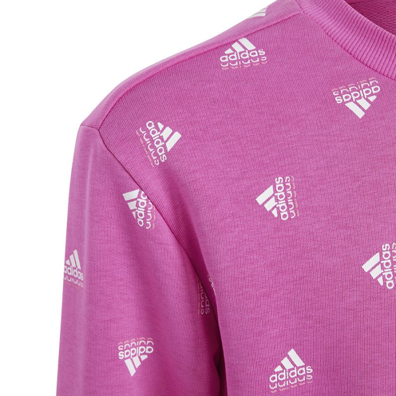 Adidas Bluv Swt Jr IC5573 sweatshirt