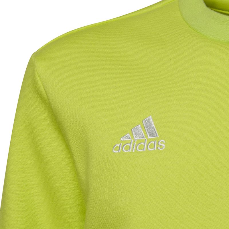 Adidas Entrada 22 Sweat Top Jr HC5043 sweatshirt