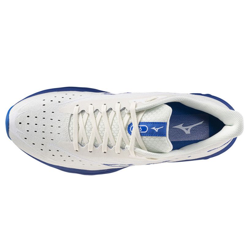Mizuno Wave Skyrise 6 M J1GC250954 shoes