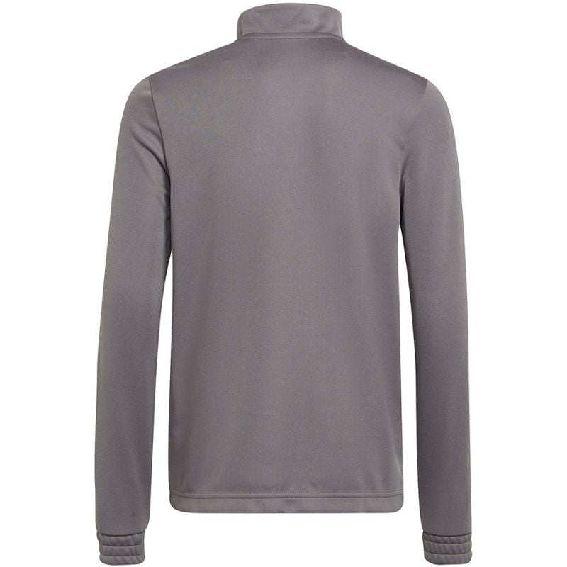 Adidas Entrada 22 Training Top Jr H57549 sweatshirt