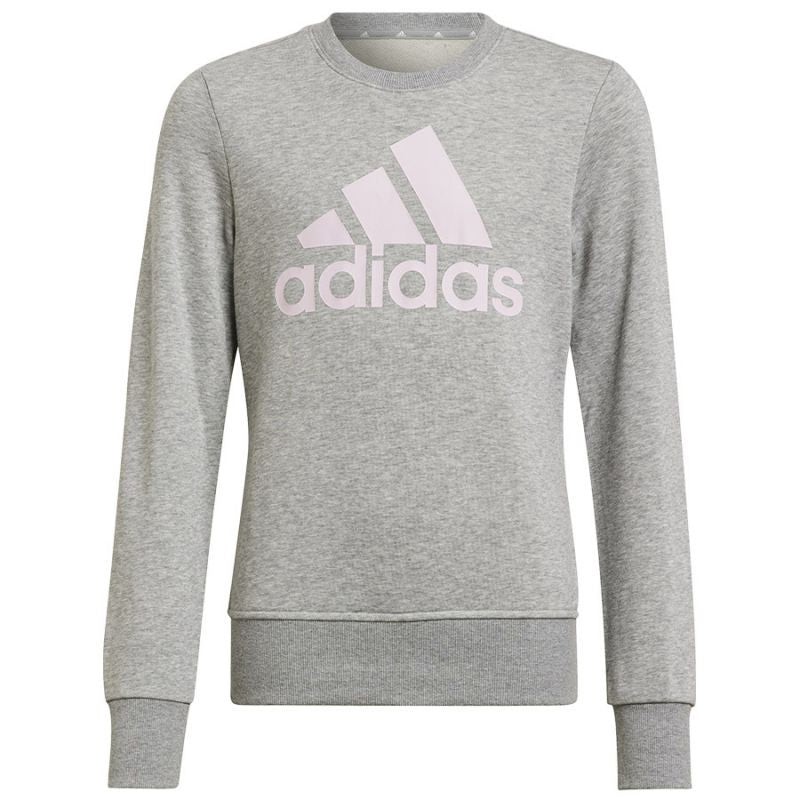 Adidas Big Logo Swt Jr HM8706 sweatshirt