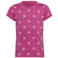 adidas BLUV T-shirt Jr IB8920