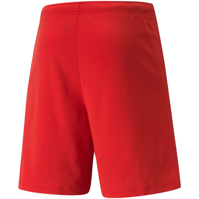 Puma teamRISE Shorts M 704942 01