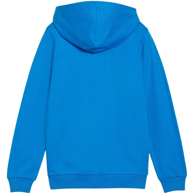 Puma teamGoal Casuals Hooded Jr sweatshirt 658596 02