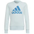 Adidas Big Logo Swt Jr HM8707 sweatshirt