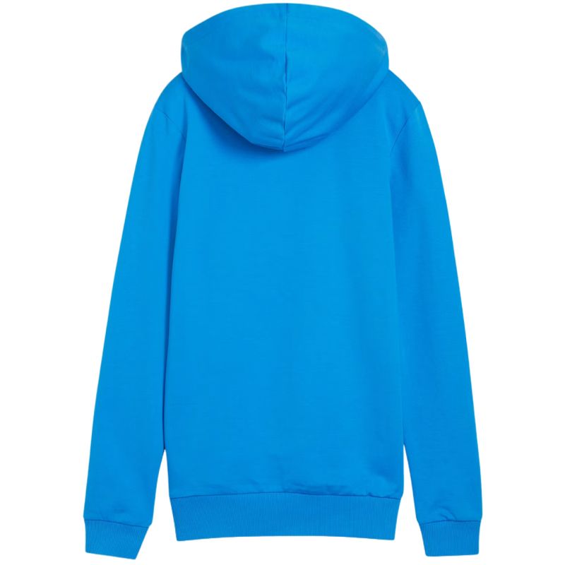Puma Team Goal Casuals Hoody W 658621 02