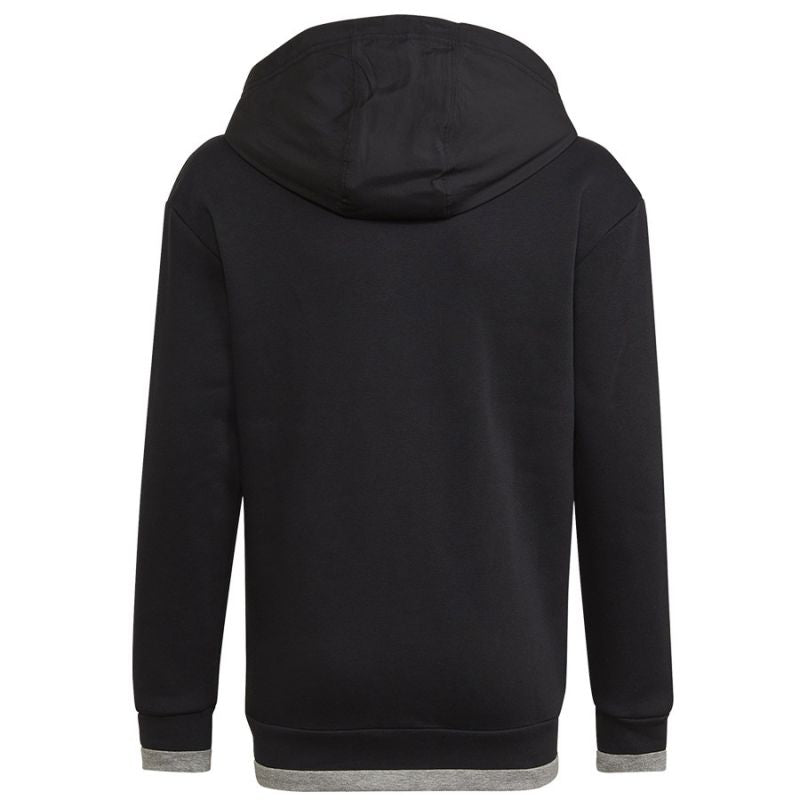 Adidas Fleece Full-Zip Hoody Jr HN6182 sweatshirt