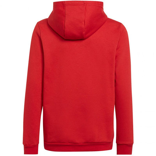 Adidas Entrada 22 Hoody Jr sweatshirt H57566