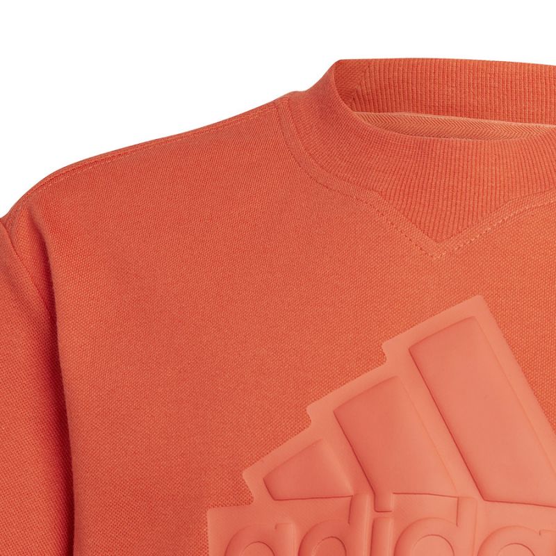 adidas FI Logo Tee Jr HR6296