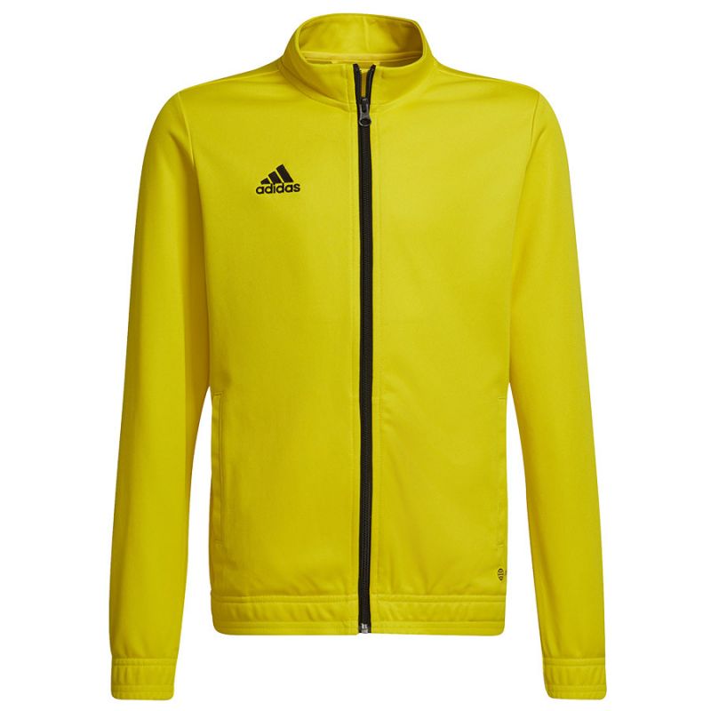 Adidas Entrada 22 Track Jr sweatshirt HI2139