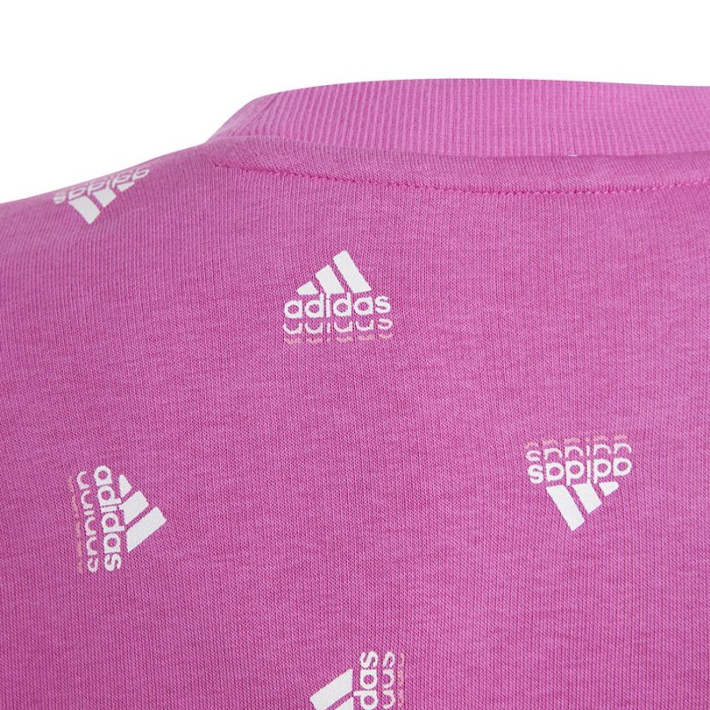 Adidas Bluv Swt Jr IC5573 sweatshirt