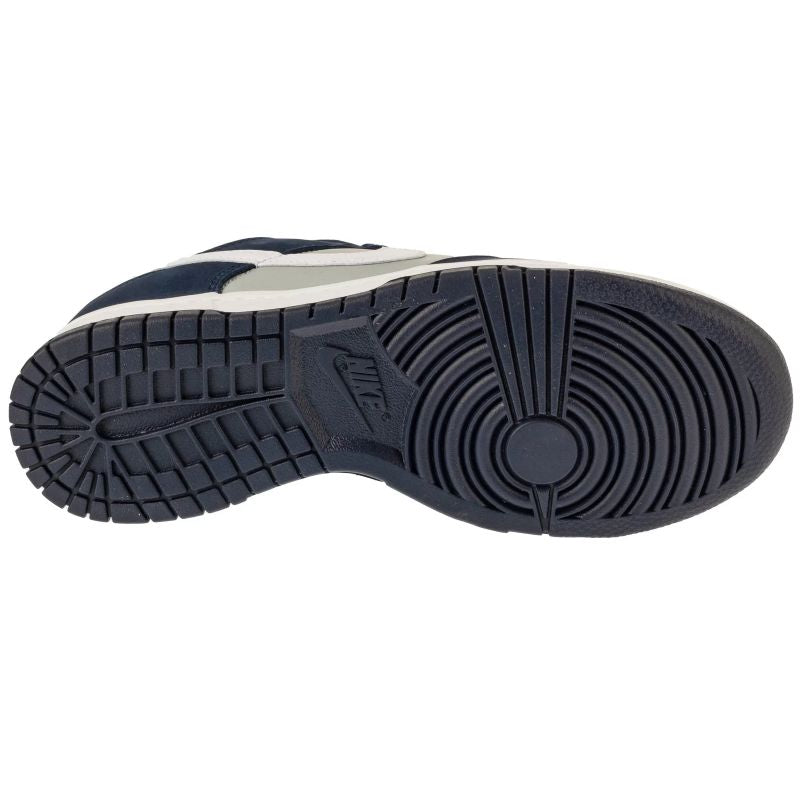 Nike Dunk Low Retro M IB3079-400 shoes