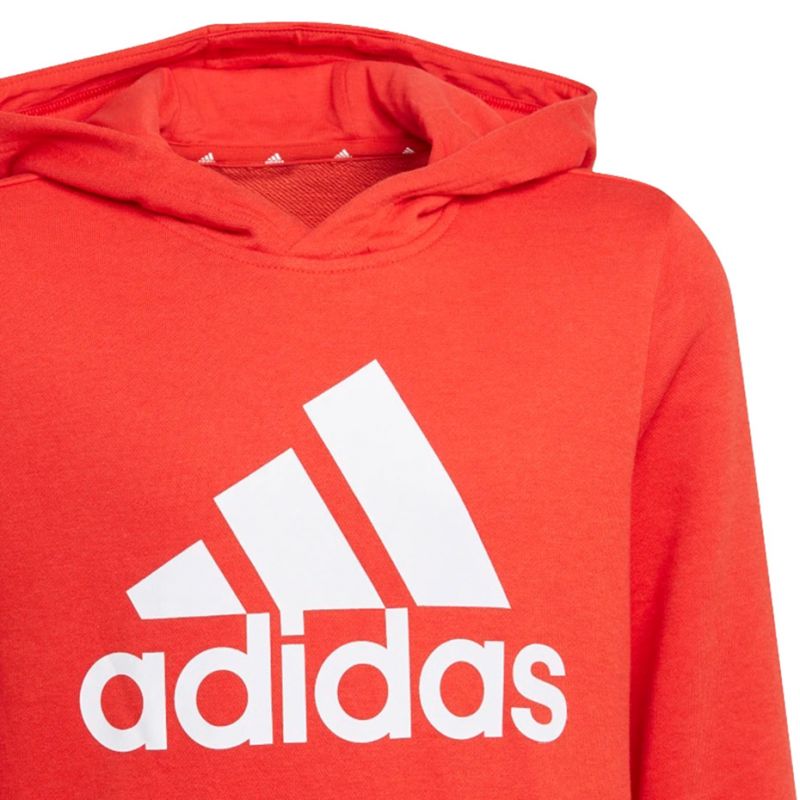 Adidas Essentials Big Logo Hoodie Jr GN4037 sweatshirt