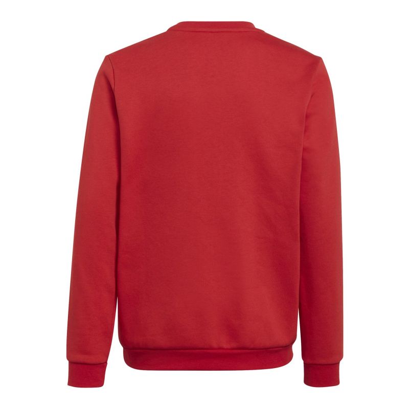 Adidas Entrada 22 Sweat Jr sweatshirt H57473