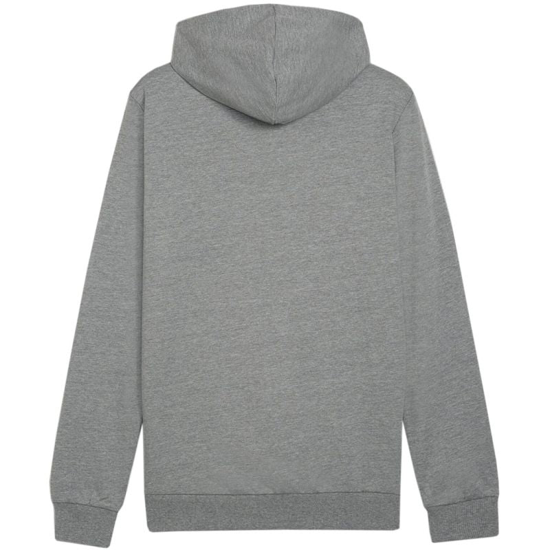 Puma Team Goal Casuals Hoody M 658618 33