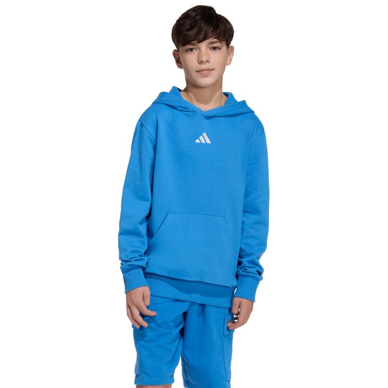 adidas Essentials Hoodie for kids blue KD3382