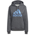 Adidas Big Logo FL R HD W IC9845 sweatshirt
