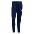 Pantaloni adidas Tiro 21 Training M GE5427