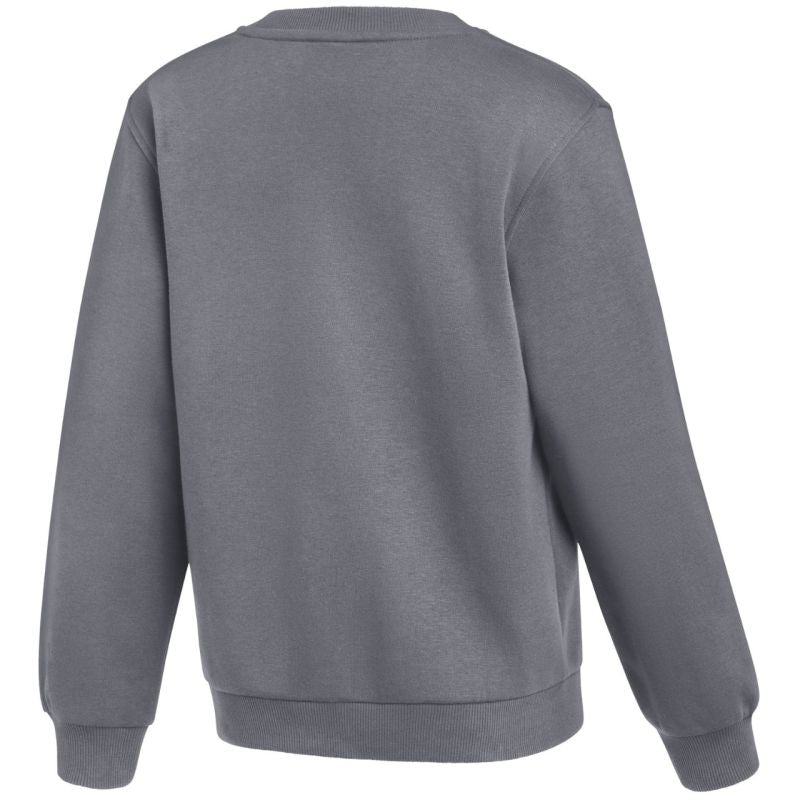 Nike Park 26 Fleece Crew Kids' Sweatshirt Gray IB1188 071