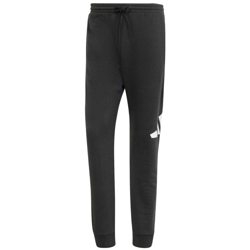 Adidas Essentials Big Logo French Terry M IN6163 pants
