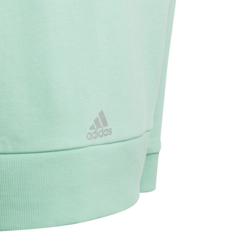 Adidas D Hoody Jr HR5825 sweatshirt