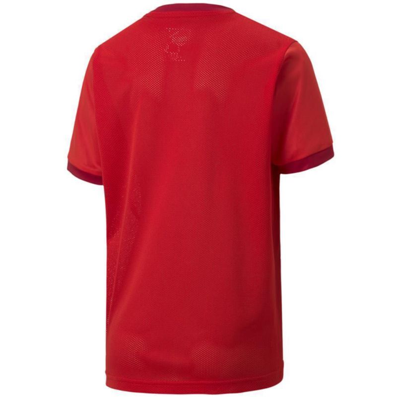 Puma teamGOAL 23 Jersey Jr 704160 01