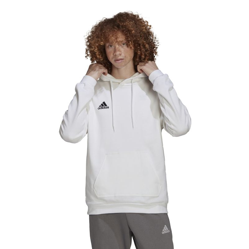 Adidas Entrada 22 M HG6302 sweatshirt