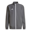 Adidas Entrada 22 M sweatshirt H57535