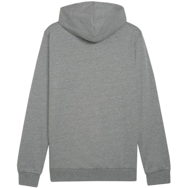 Puma Team Goal Casuals Hoody M 658618 33
