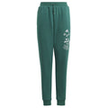 adidas BLUV Q3 Pant Jr IA1553