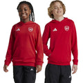 Adidas Arsenal London Jr IT4091 sweatshirt