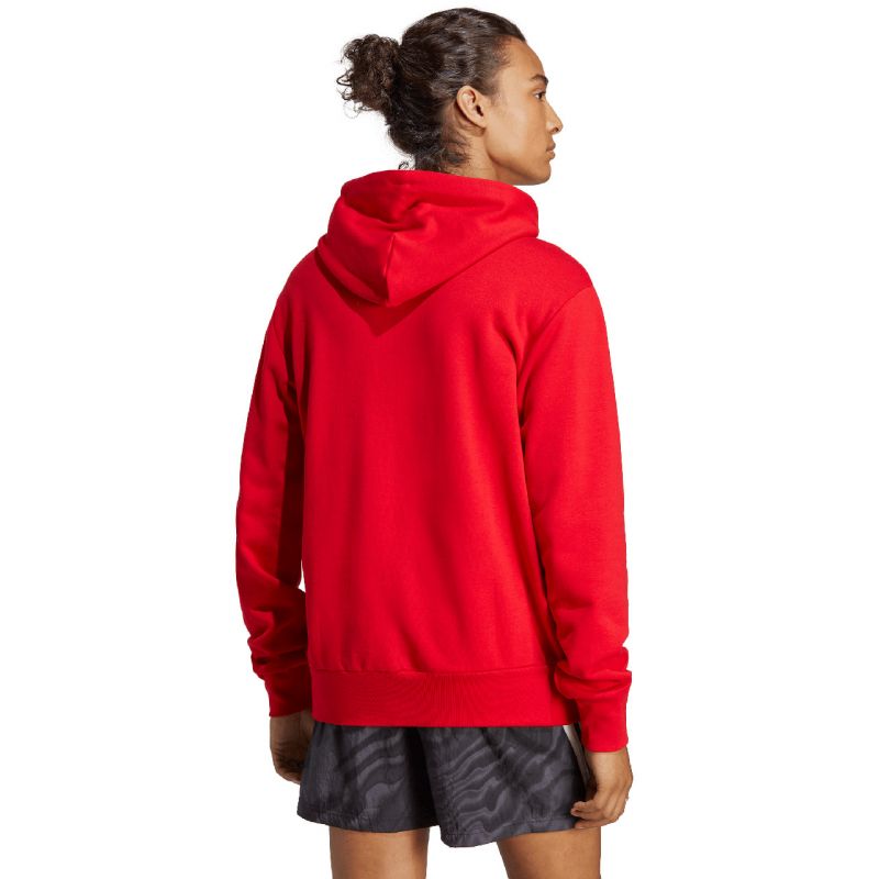 Adidas Essentials Felpa con cappuccio French Terry Big Logo M IC9365