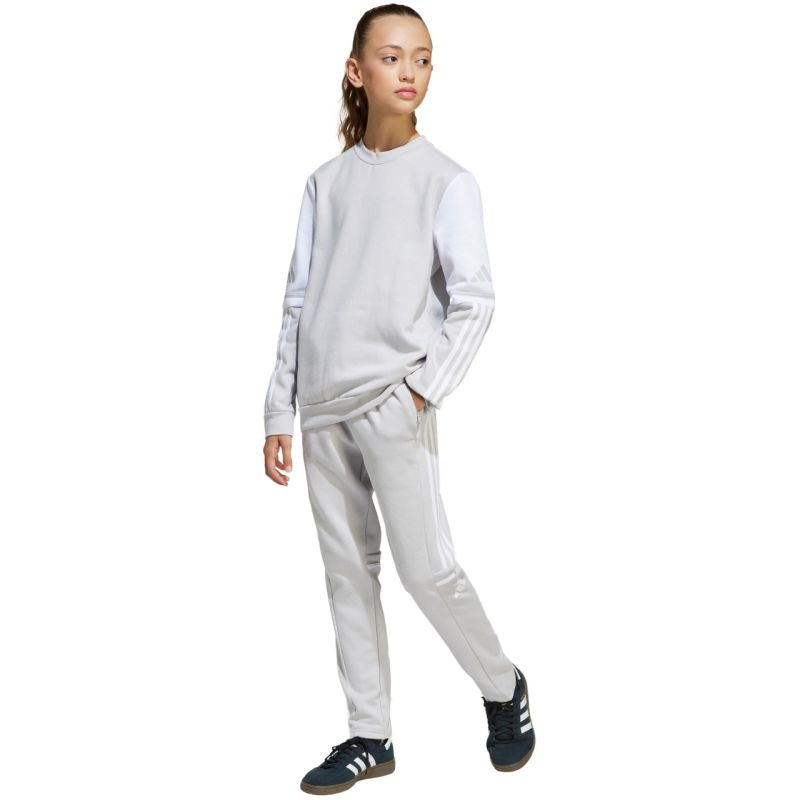 Adidas Squadra 25 Sweat Crew Jr JD4824 sweatshirt