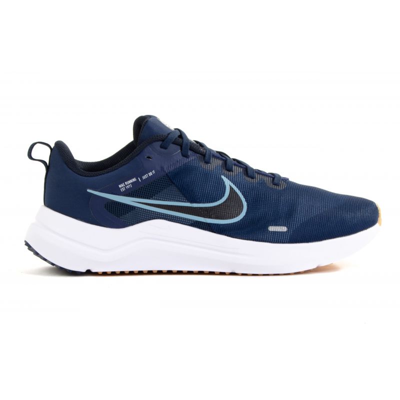 Nike Downshifter 12 M DD9293-400 shoes